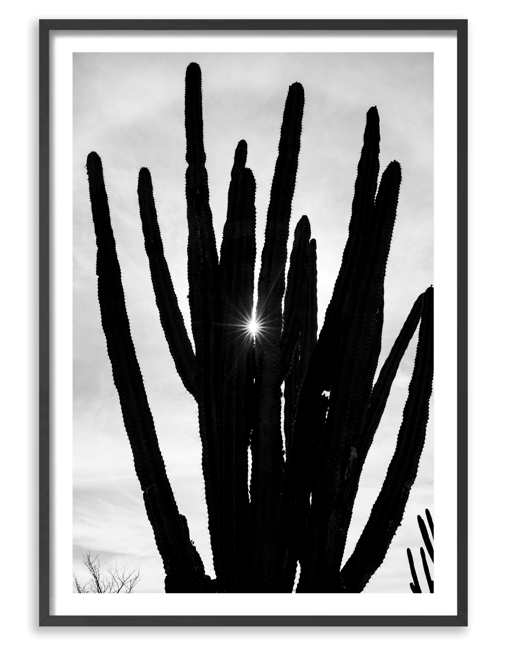 Fine Art Black & White Photography, Get Photos Framed